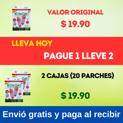 𝗣𝗮𝗿𝗰𝗵𝗲𝘀 𝗗𝗲𝘀𝗶𝗻𝘁𝗼𝘅𝗶𝗰𝗮𝗻𝘁𝗲𝘀 𝗞𝗶𝗻𝗼𝗸𝗶 - 𝗣𝗔𝗚𝗨𝗘 1 𝗟𝗟𝗘𝗩𝗘 3 + GRATIS GUIA😍
